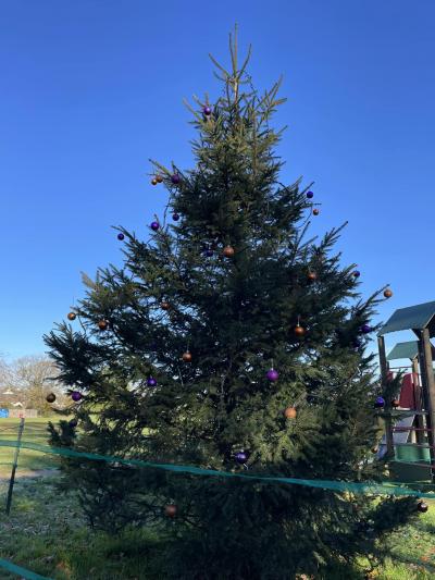Christmas Tree
